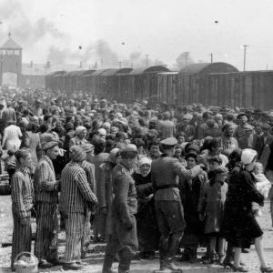 « L’album d’Auschwitz » : photos de la banalité du mal