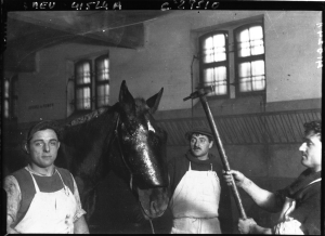 « L'Enfer des Bêtes », première contestation des souffrances animales